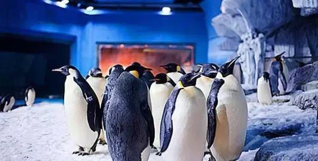 地铁8号线东延何时建成,地铁8号线支线迎来新进展