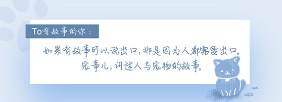 宠事儿：比空巢更可怕的，是虚伪的爱