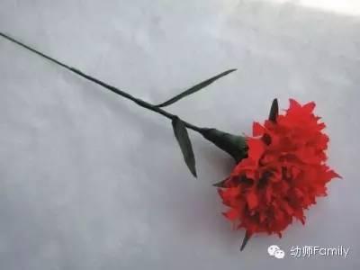 母亲节礼物手工康乃馨用卫生纸折,母亲节的康乃馨怎么做视频