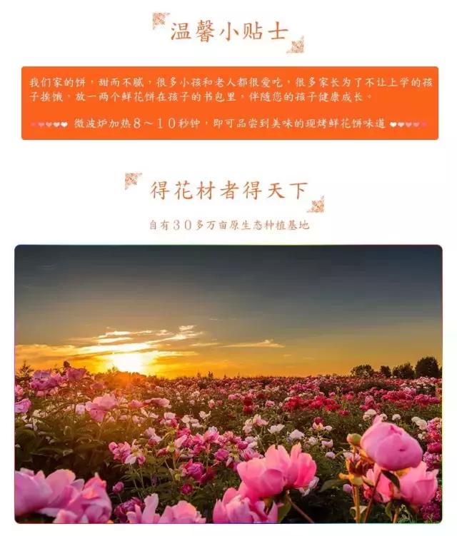 详情页评估,详情页检测报告可以用吗