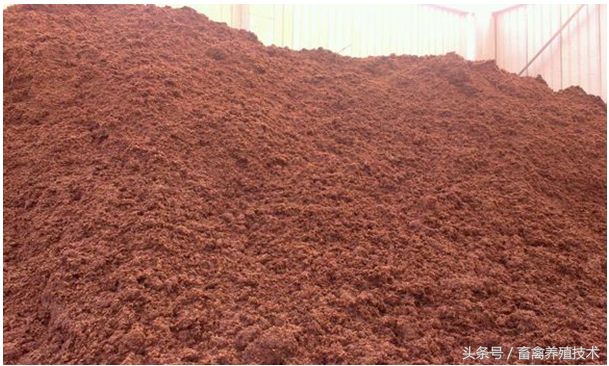 养猪饲料过量中毒表现,养猪中毒怎么处理