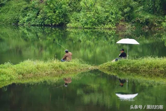 鱼类喜欢酸性还是碱性,鱼的趋温性是怎么回事