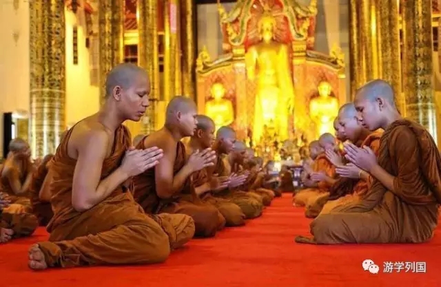 泰国旅行不一样的泰国风情,2024泰国游学之旅