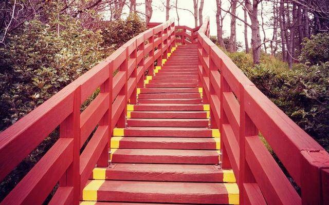 犯了原则性错误怎么挽回天蝎座,天蝎座如何挽回天蝎座