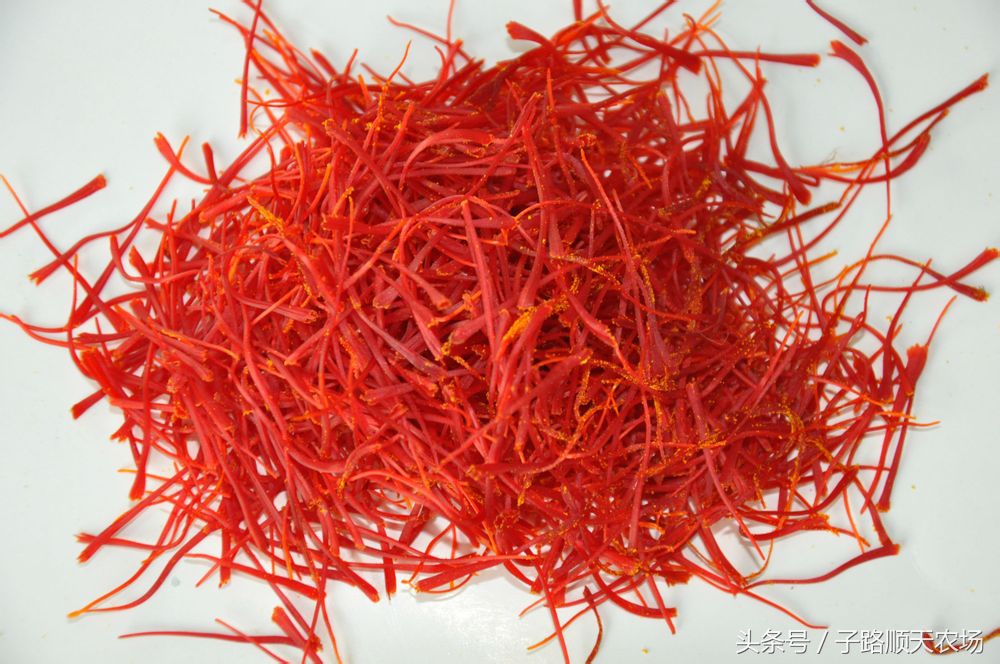 藏红花生长在什么地方最有价值,藏红花哪些省份可以种植