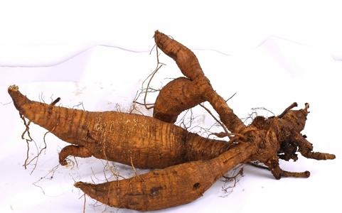 这种植物是血管的天然支架，可惜网上那些包装高档的都是假货！