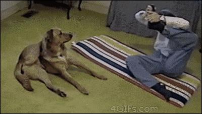 为什么宅男找不到女朋友,宅男找不到女朋友的原因