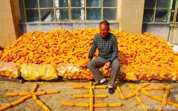 陕西省美丽宜居示范村,陕西美丽乡村名录