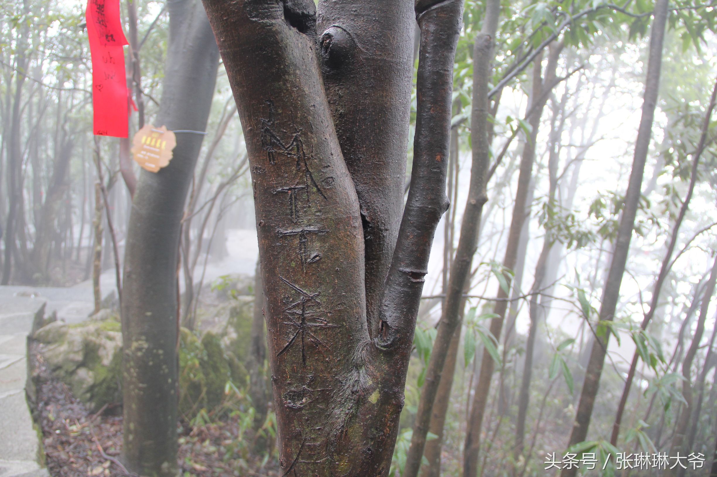 北京姑娘徒步完整视频,北京姑娘旅行