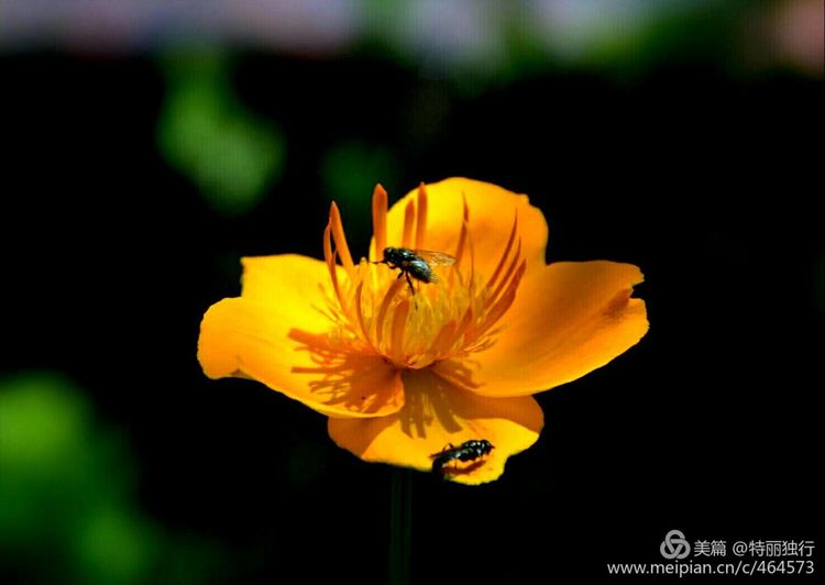 走过四季夏天最美,走过春夏美丽的秋冬