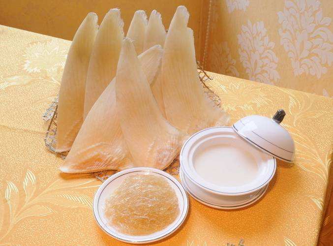 鱼翅营养食谱,这些平民食物营养不输鱼翅