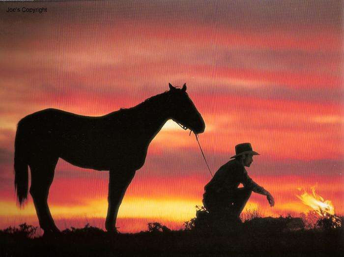 香烟品牌故事,有故事的香烟品牌