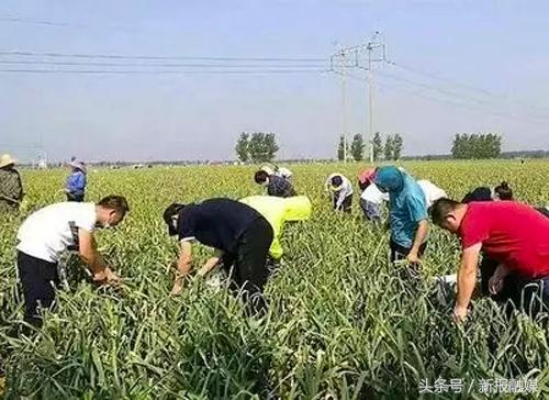 农村电商扶贫助力脱贫,农村电商扶贫助力农民