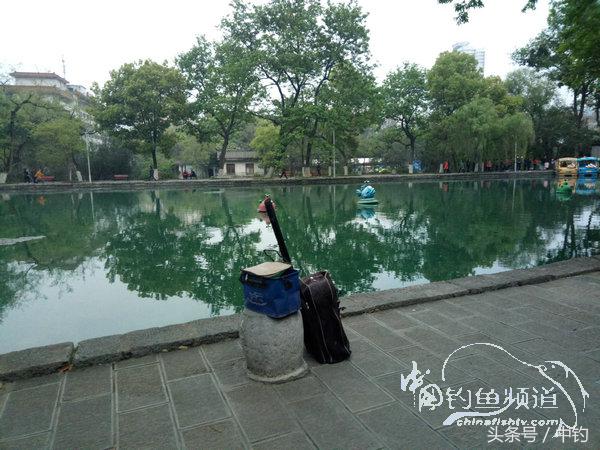 野钓日记第17期,野钓日记19天