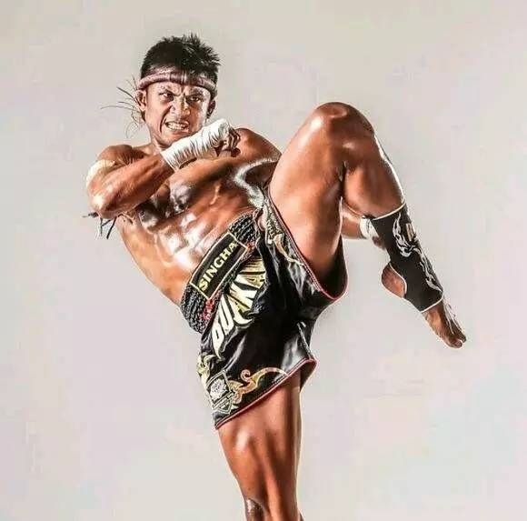 泰拳为什么打得过猛虎,散打和泰拳哪个实用性强