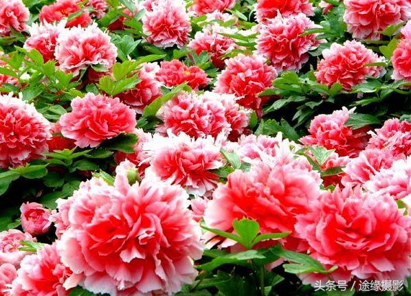 经过湖北最绕的高铁路线，直线900公里绕出了1800公里长度