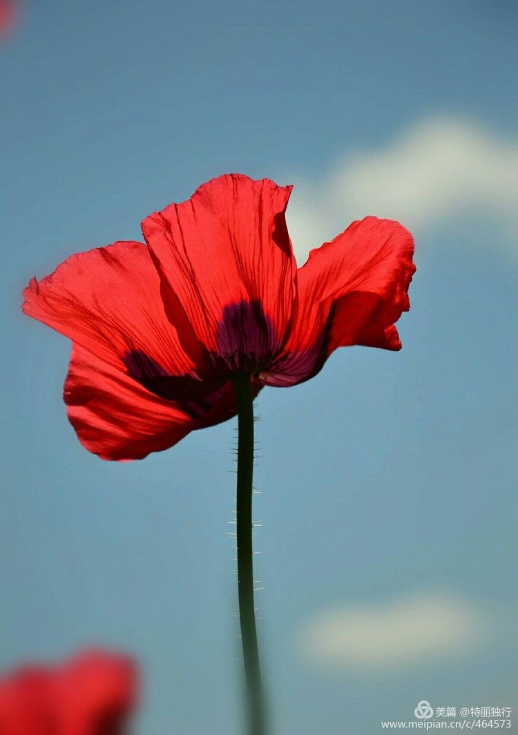 走过四季夏天最美,走过春夏美丽的秋冬