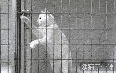 你知道我练习了多少次,才等来这精准一刻