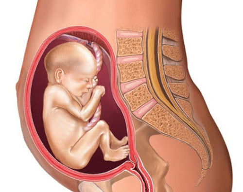 接触放化疗病人对孕妇有影响吗,孕妇接触放化疗病人需要注意什么