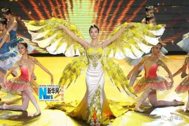 王珞丹在圈中的地位,王珞丹退出娱乐圈了吗