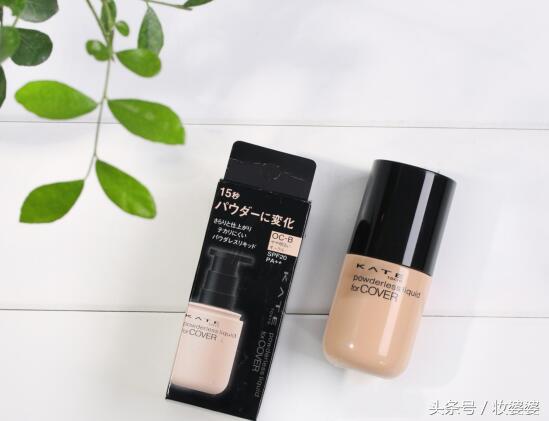 大牌粉底的替代品，真爱粉福利