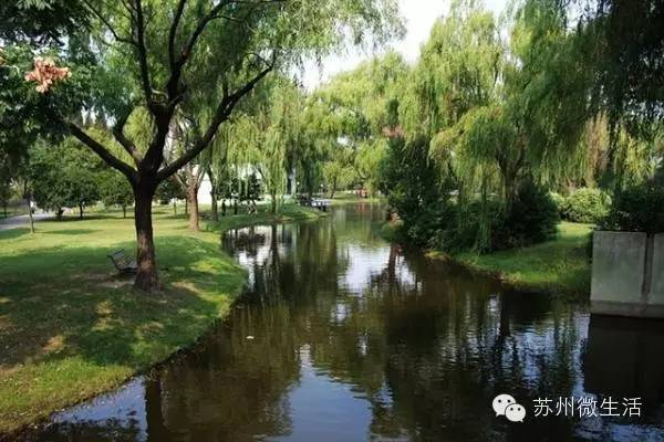 苏州最值得去的五个景点,苏州最值得去的10个景点排名