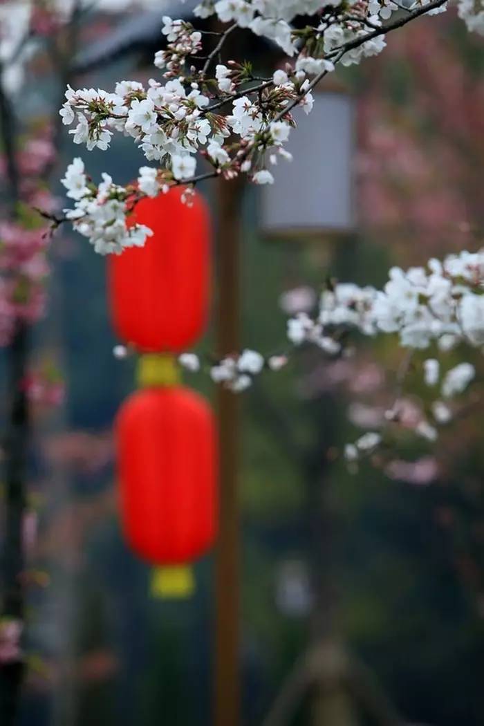 老祖宗留下来的7句狠话句句在理,老祖宗留下来的金句句句在理