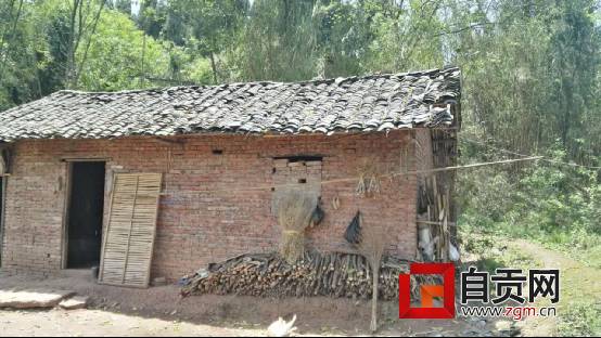 拌嘴后他喝下半瓶胆水却急坏了另一个“不相干”的人