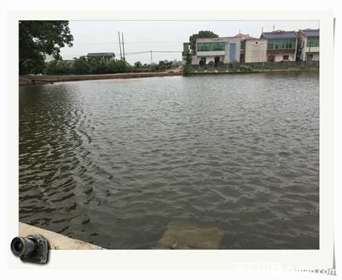 老地方钓鱼不好钓,五一抓鱼捕虾好去处