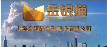 金银猫公司总部,金银猫最新进展情况