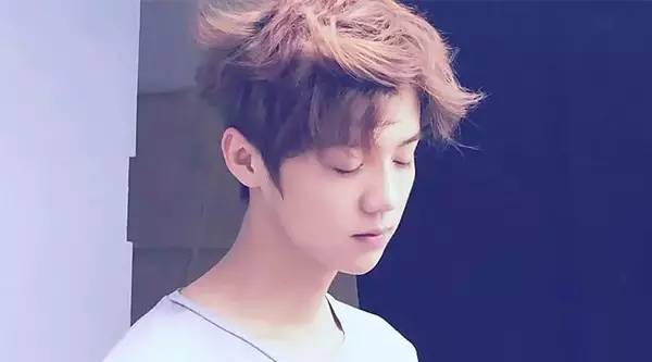 鹿晗树深时见鹿小说,鹿晗森林里的小鹿