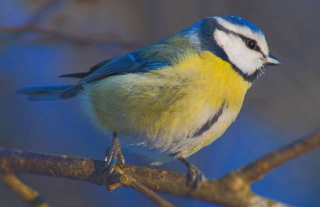 多伦多周末有什么好玩的地方,多伦多八月好去处
