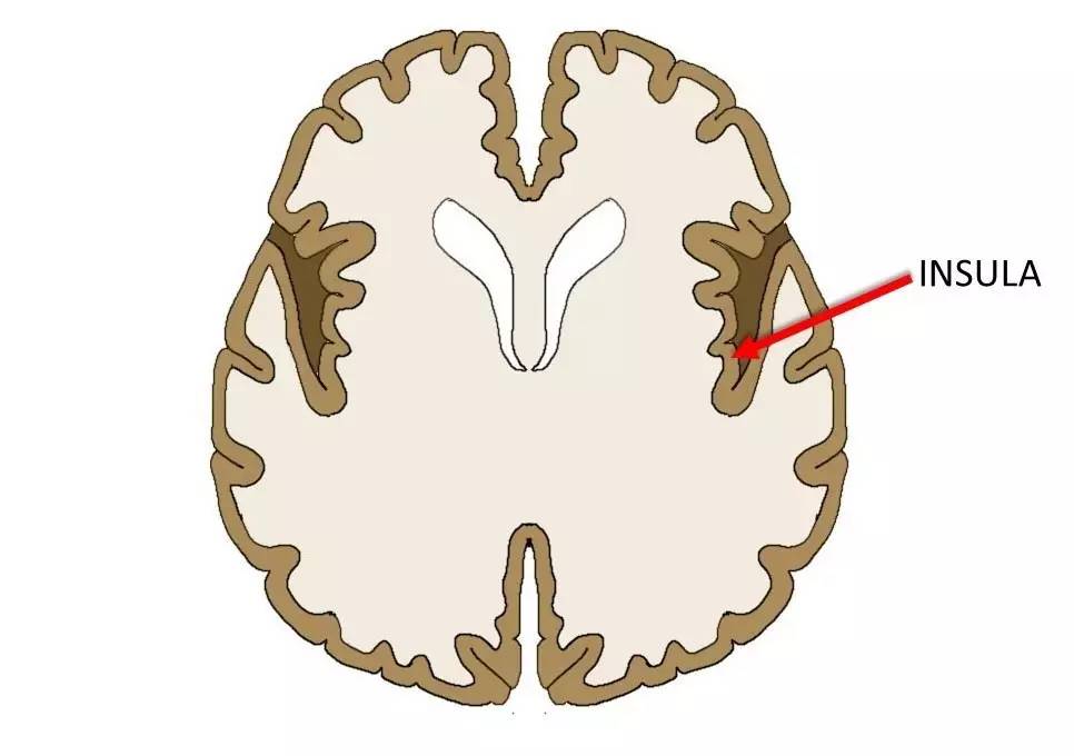 耳鬓厮磨是什么感觉,耳鬓厮磨的含义是什么