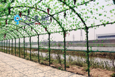 农耕园体验活动感受劳动乐趣,农耕生活体验园