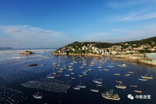 浙江各县区空气质量,浙江舟山环境
