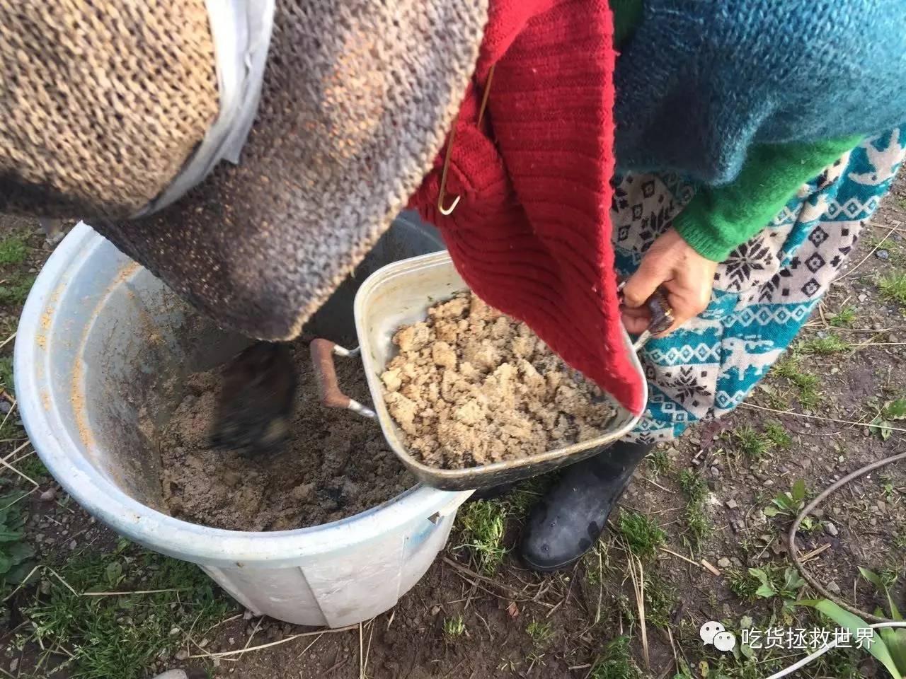 鎴戝湪妯辫姳灏忛晣,鍦ㄦū鑺遍鑸炵殑瀛ｈ妭