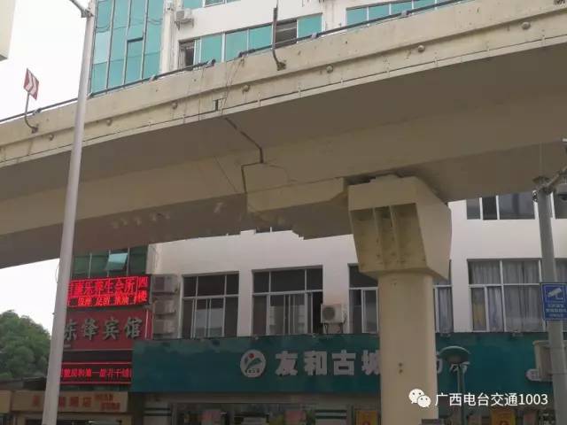 南宁市虫害防治,南宁园林白蚁防治方法