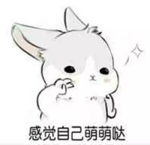 假如冰糖掉进了水里……只是假如……