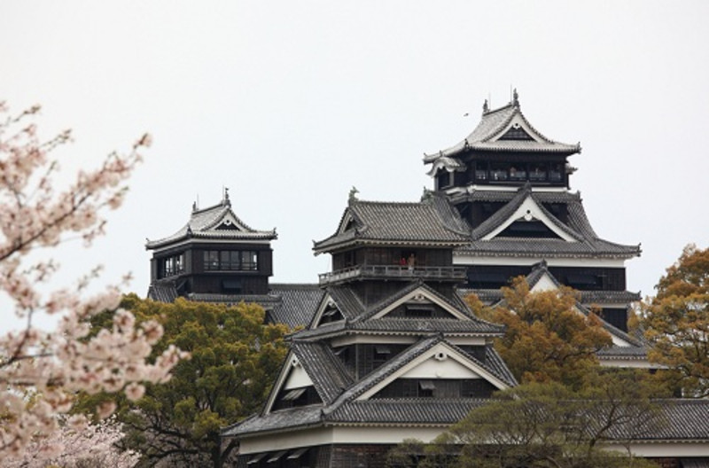 熊本熊77期,熊本熊布朗熊带你去旅行