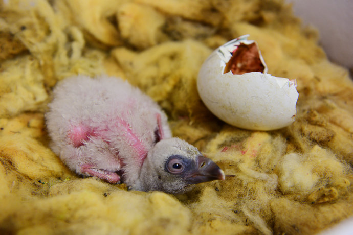 慢行克恩顿,浪回中世纪