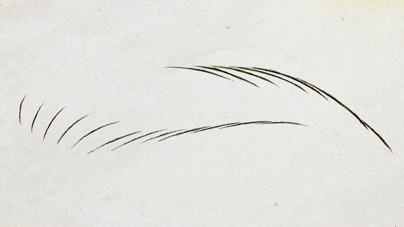 纹绣线条眉最难学吗,纹绣新手线条眉入门教程