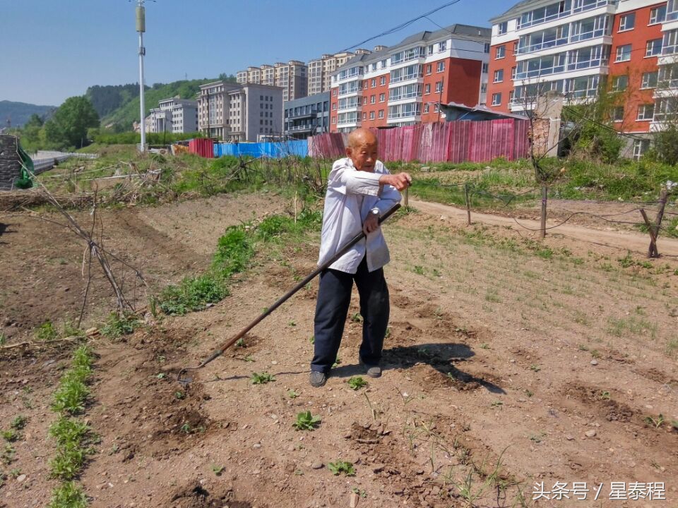 102岁老人种菜长寿秘诀,百岁老人的种菜经验口诀
