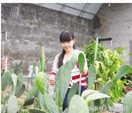 私家车赚钱项目,零投资赚钱项目