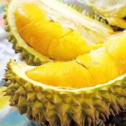 榴莲味百香果品种好吗,小果榴莲怎么挑选好的