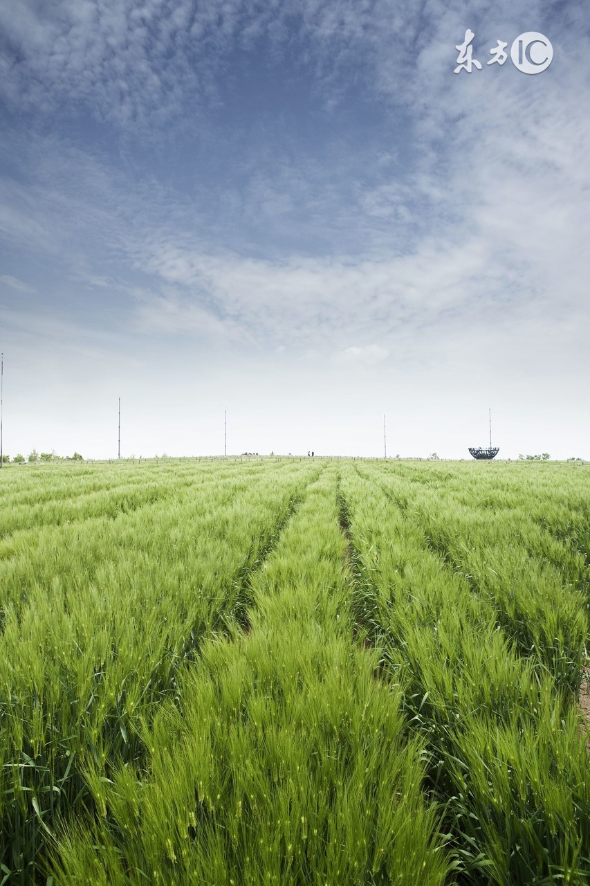 新年发朋友圈的精美句子短句,早安精美短句发朋友圈