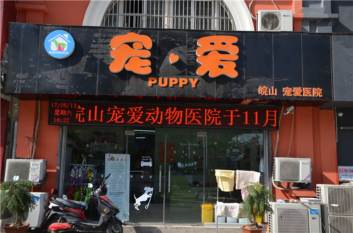 安徽电视台记者采访,安徽文旅媒体采访