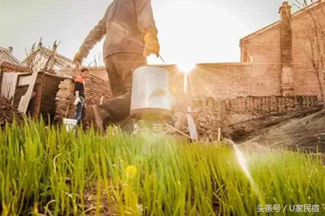 给我一方厨房，还你一桌菜肴