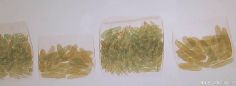 韩国杀菌后还有寄生虫吗 (进口食品中的寄生虫)