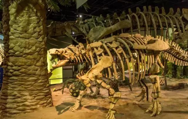 天津值得游玩门票便宜的景点,天津旅游攻略必去景点门票多少钱