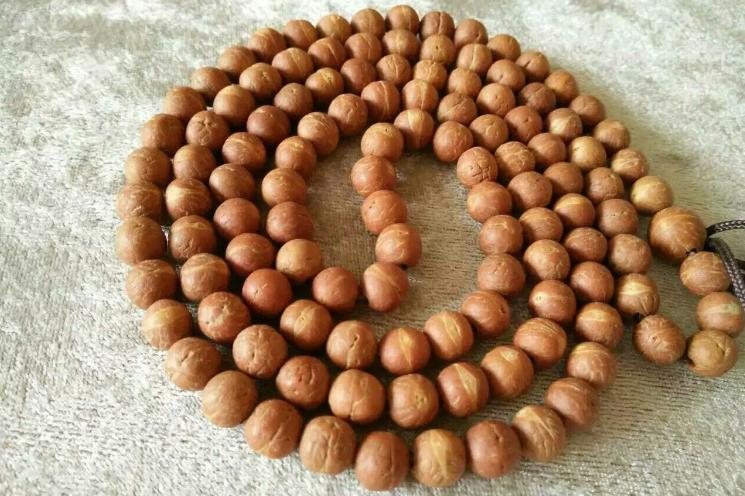 恶魔凤眼菩提产地,枣核冒充凤眼菩提